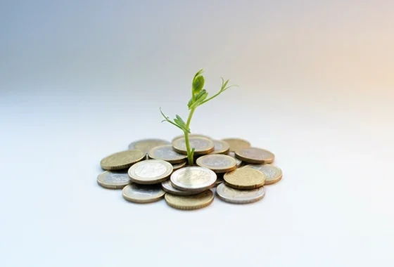 Planta brotando de un montón de monedas de euro, simbolizando el crecimiento del ahorro en un depósito bancario